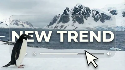 Звідки взявся тренд з пінгвіном